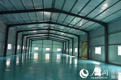 教育扶貧 技能扶貧 幫助村民創造就業機會