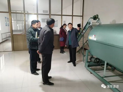 申美集團一行到邯鄲市金益農公司參觀考察 蒲公英標準化種植及產品精深加工項目