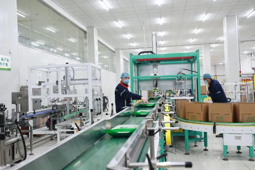 深耕品牌建設(shè),食品集團(tuán)打造踐行大食物觀先行地