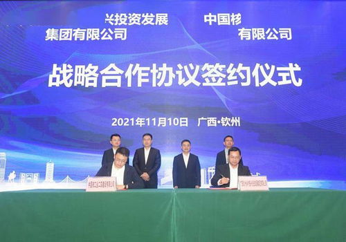 雙招雙引 廣西欽州市打造城鄉融合發展標桿與建設集團實踐